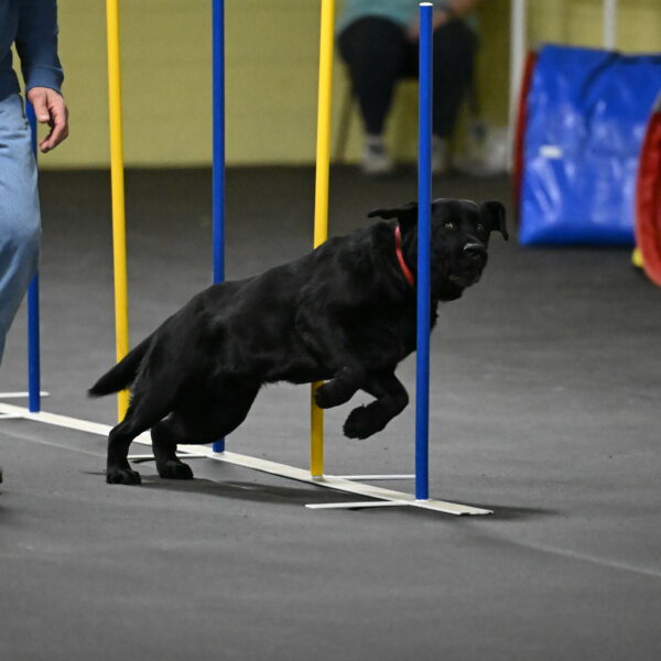 Sedona-Kasmarcak-11010