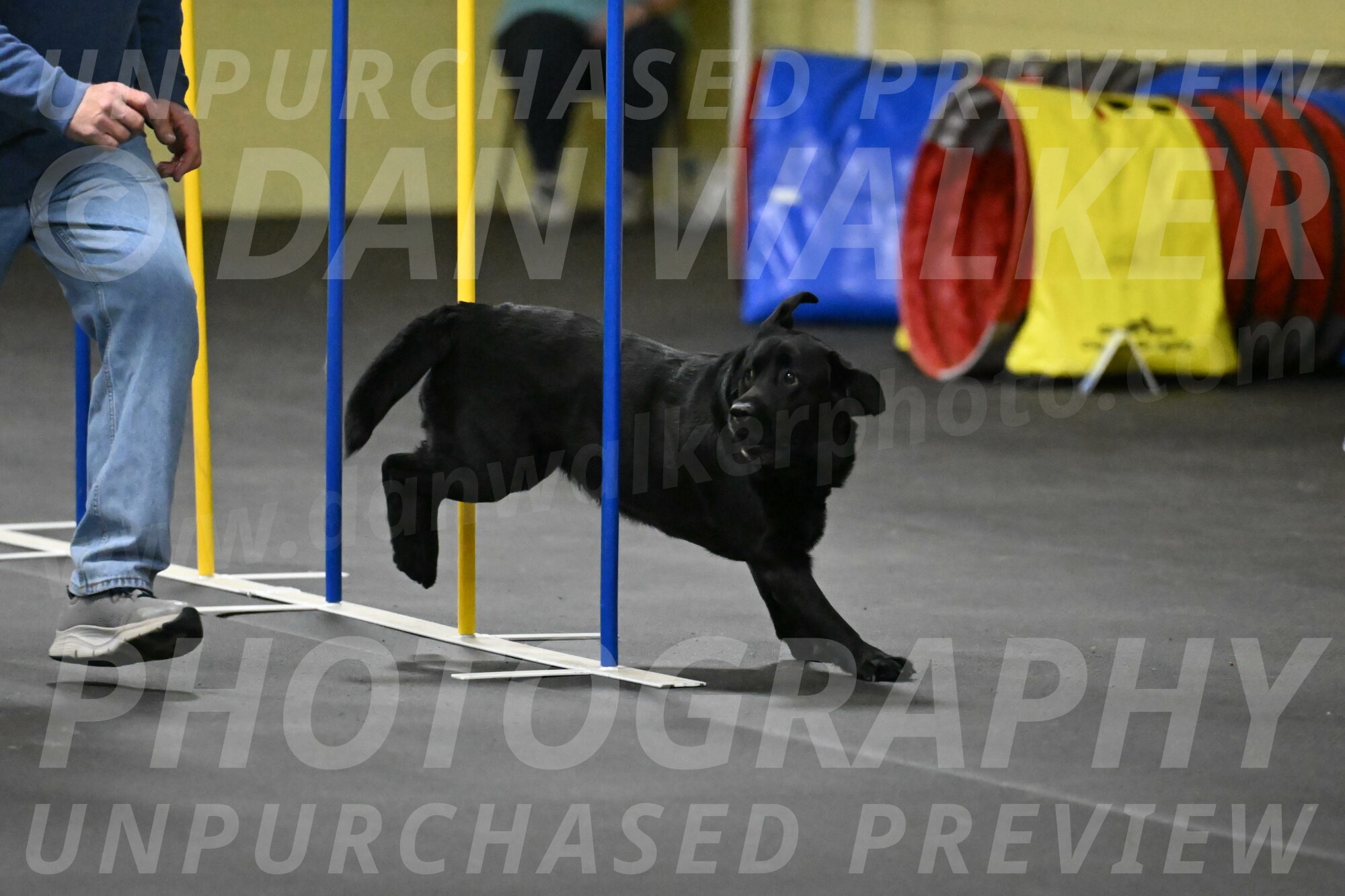 Sedona-Kasmarcak-11012