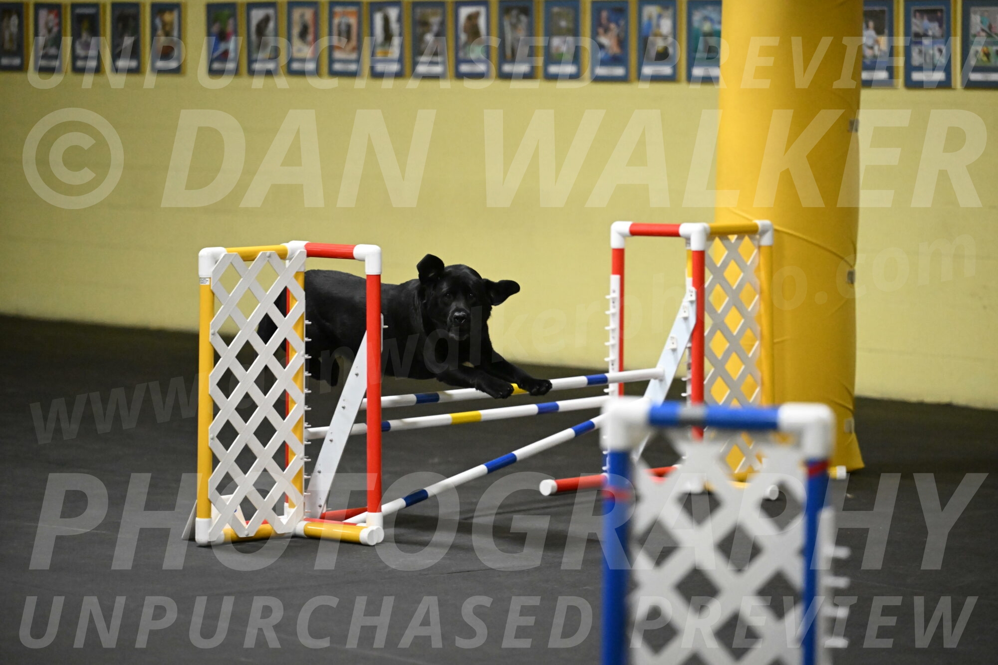 Sedona-Kasmarcak-11017