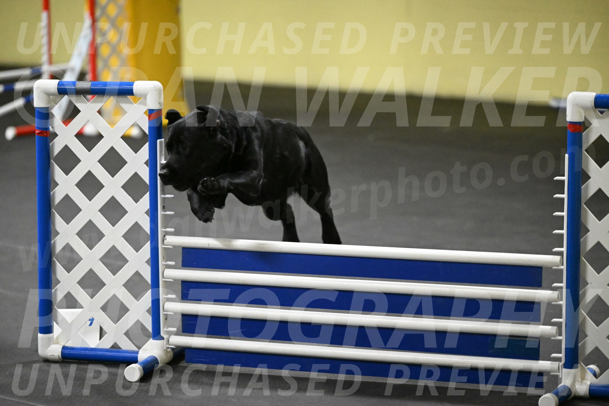 Sedona-Kasmarcak-11023