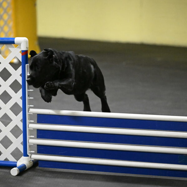 Sedona-Kasmarcak-11023