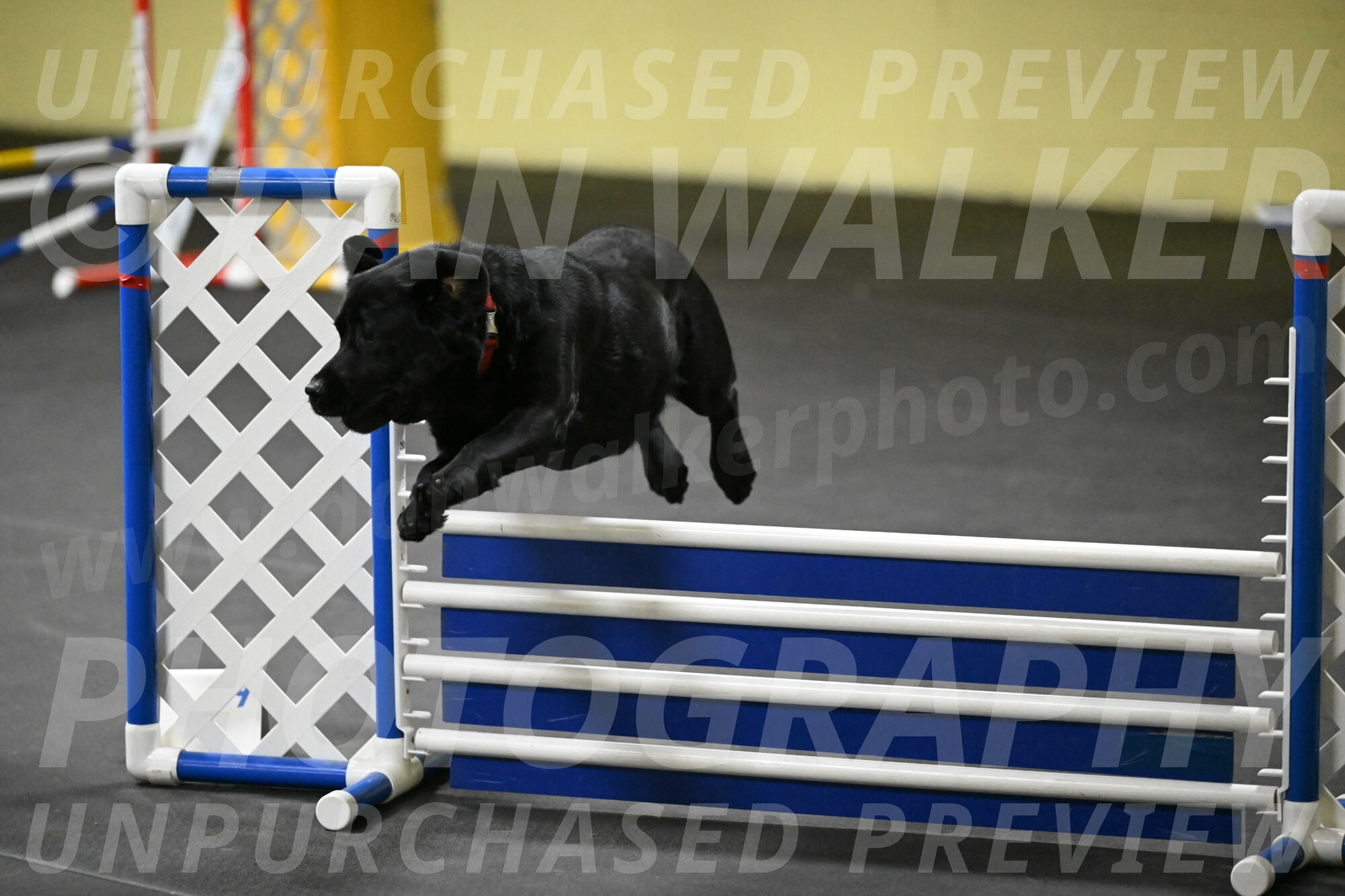 Sedona-Kasmarcak-11024