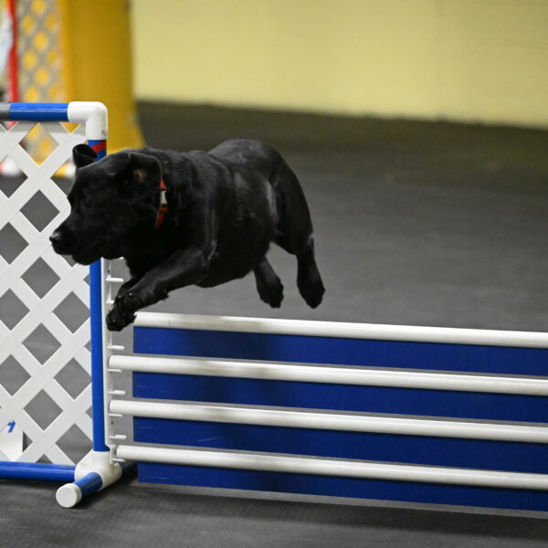 Sedona-Kasmarcak-11024