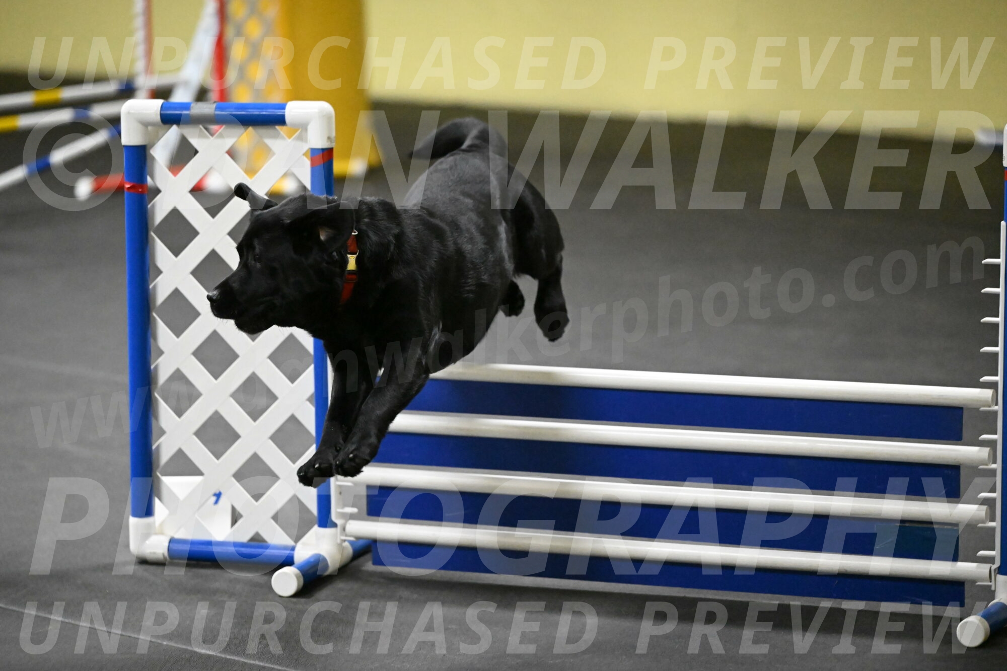 Sedona-Kasmarcak-11025