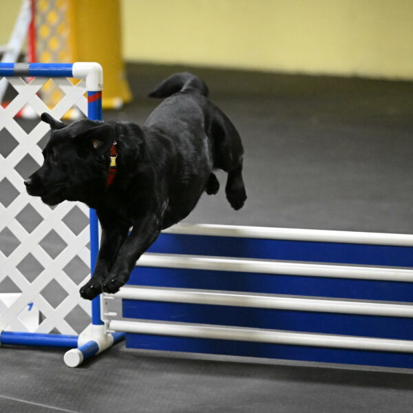 Sedona-Kasmarcak-11025