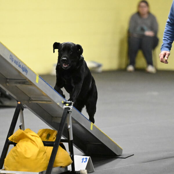 Sedona-Kasmarcak-11030