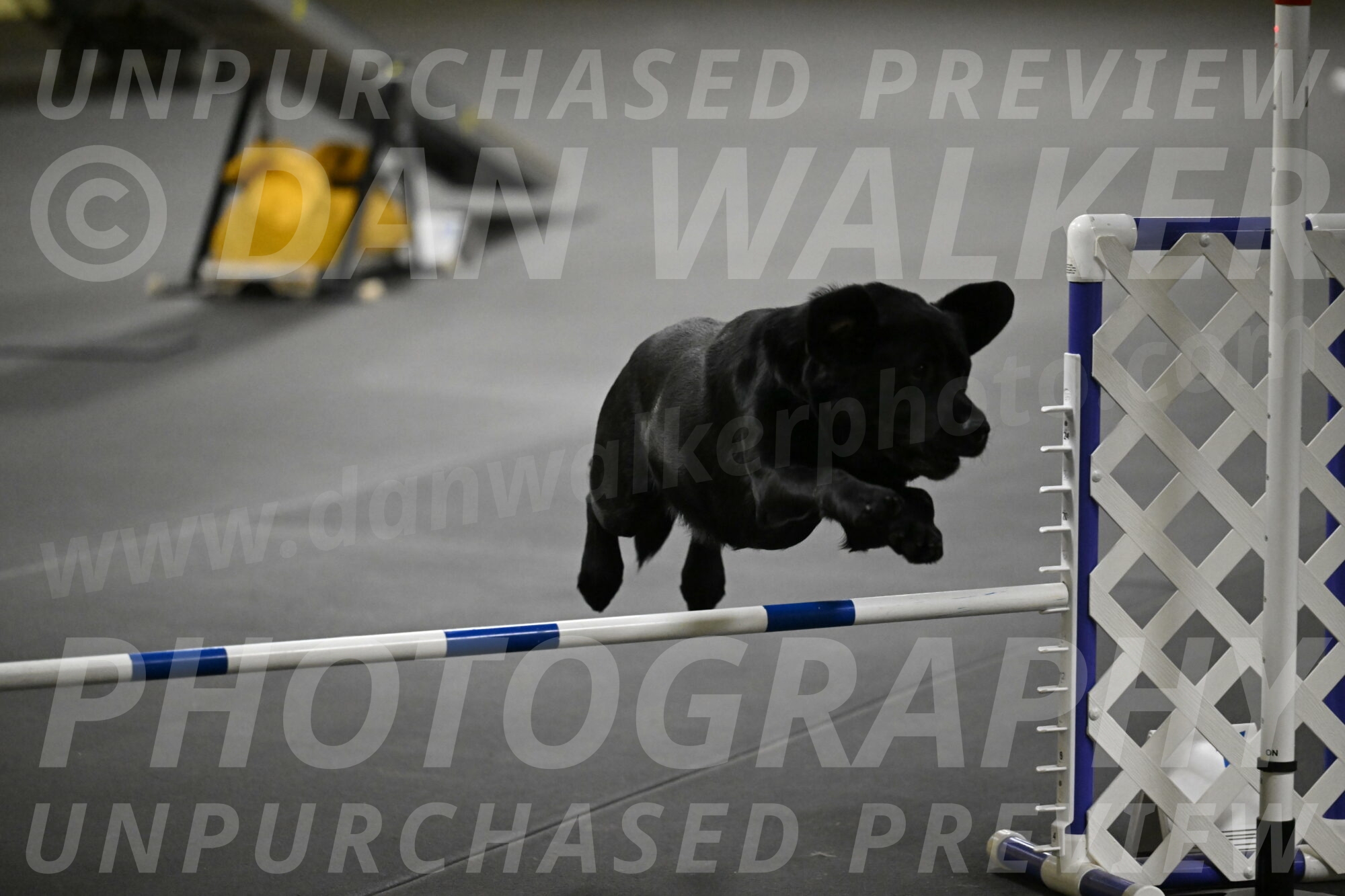 Sedona-Kasmarcak-11045