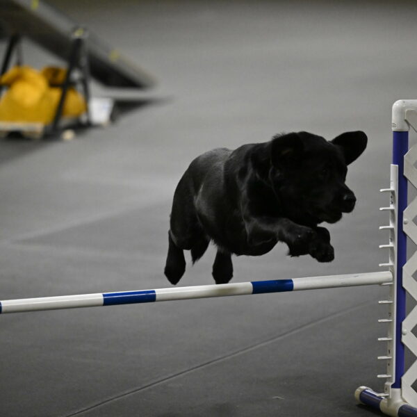 Sedona-Kasmarcak-11045