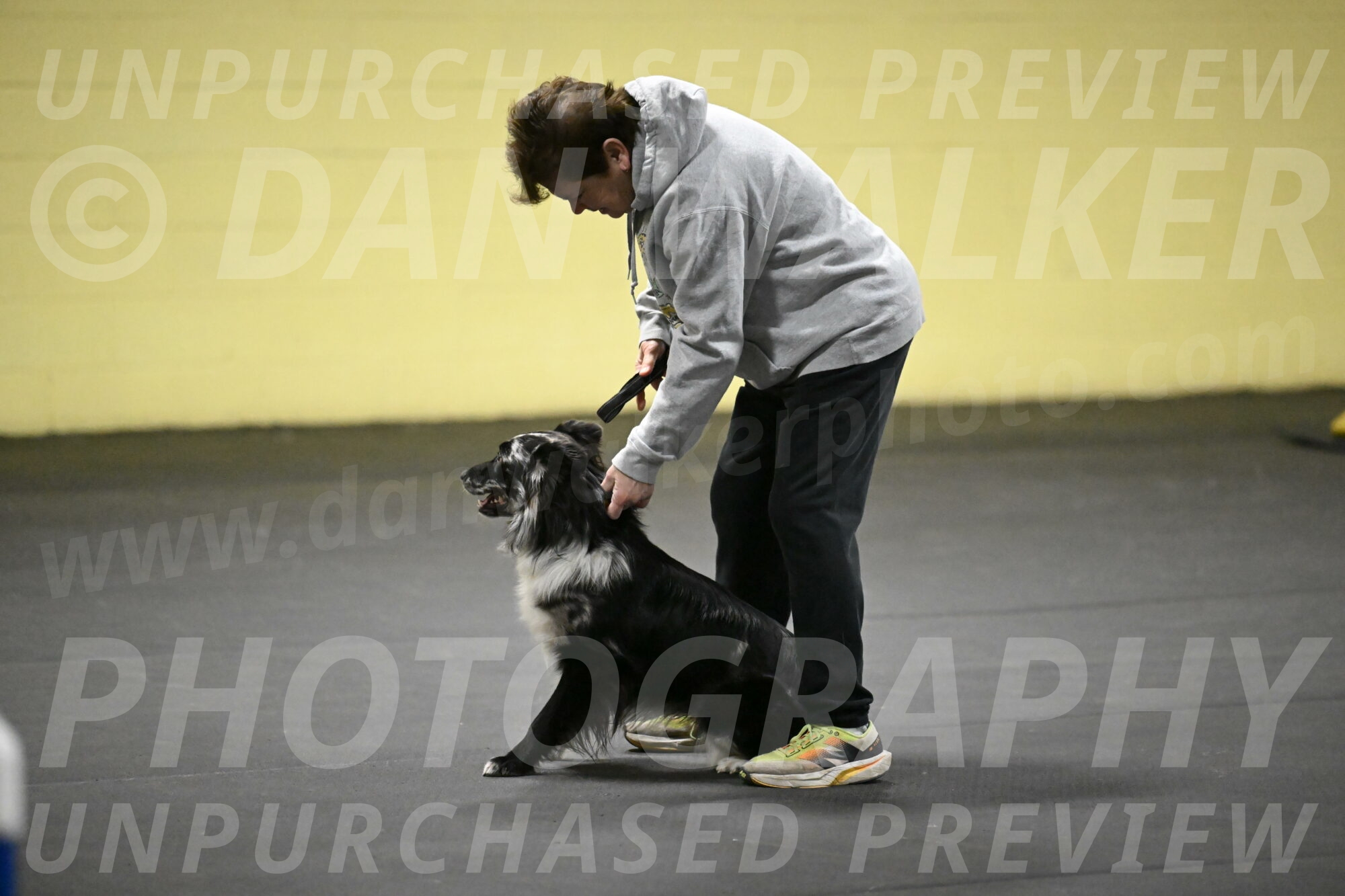 Sir-Koen-Armbrust-03726