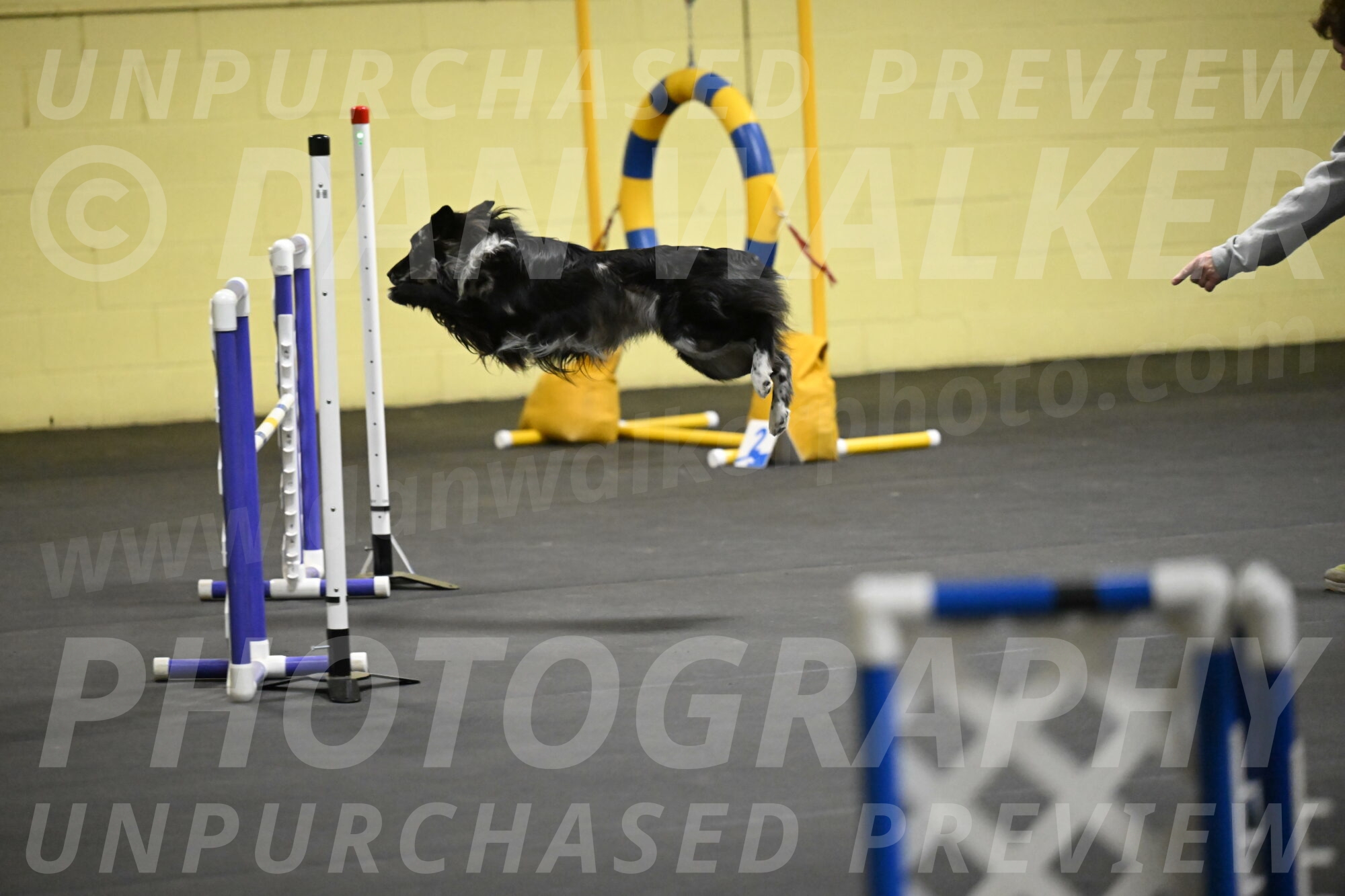 Sir-Koen-Armbrust-03733