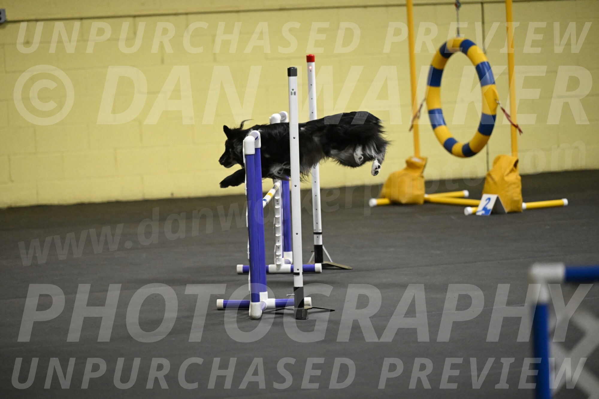 Sir-Koen-Armbrust-03735