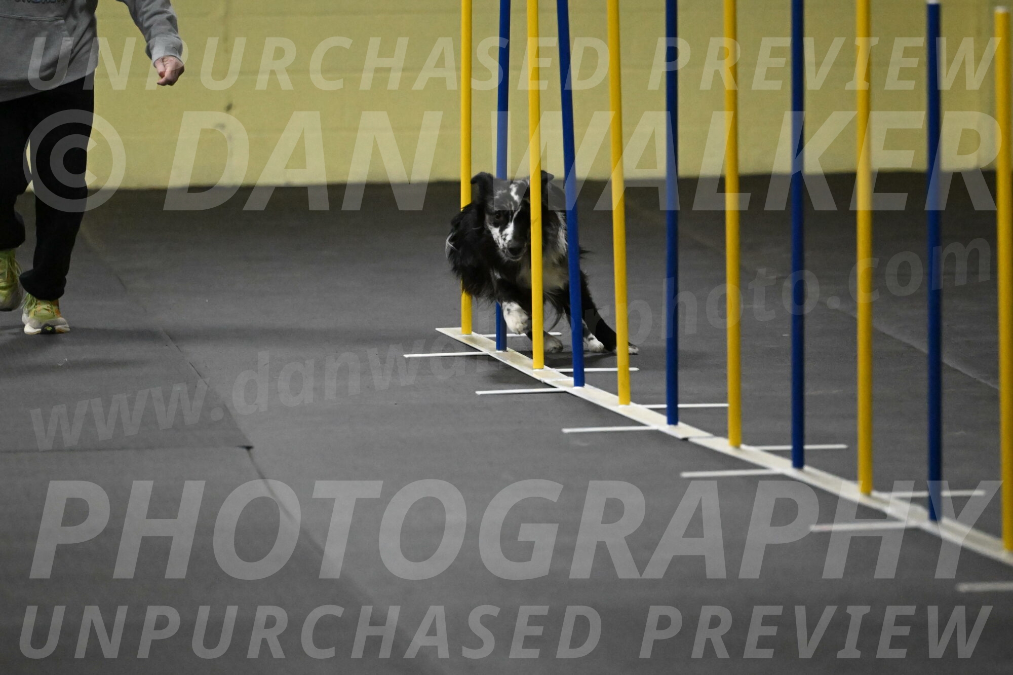 Sir-Koen-Armbrust-03763