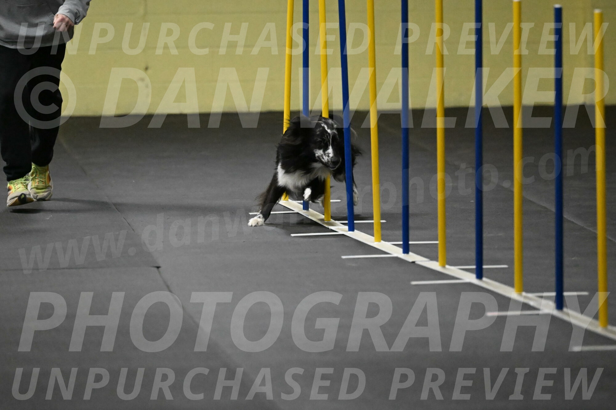 Sir-Koen-Armbrust-03765