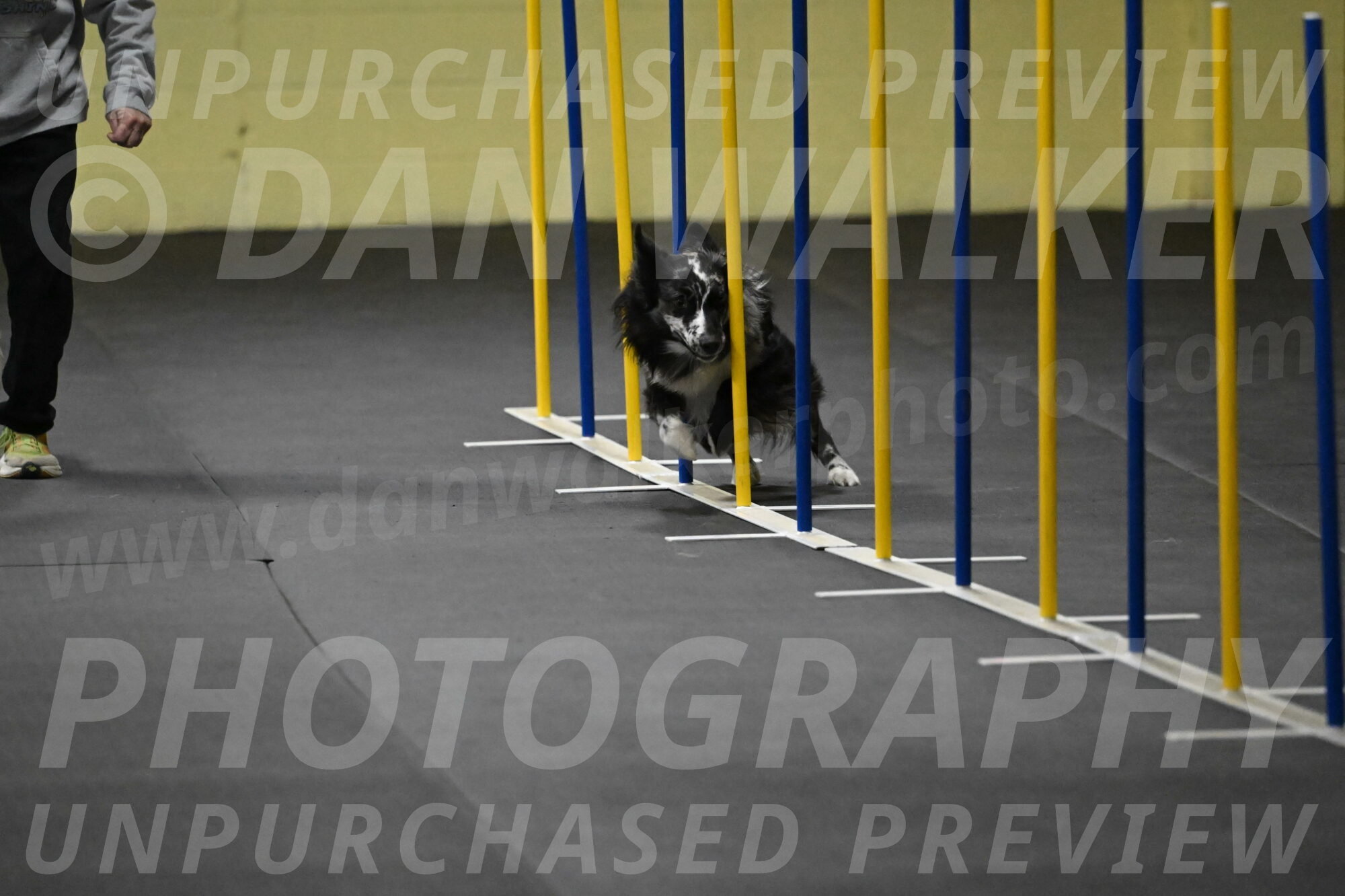 Sir-Koen-Armbrust-03769