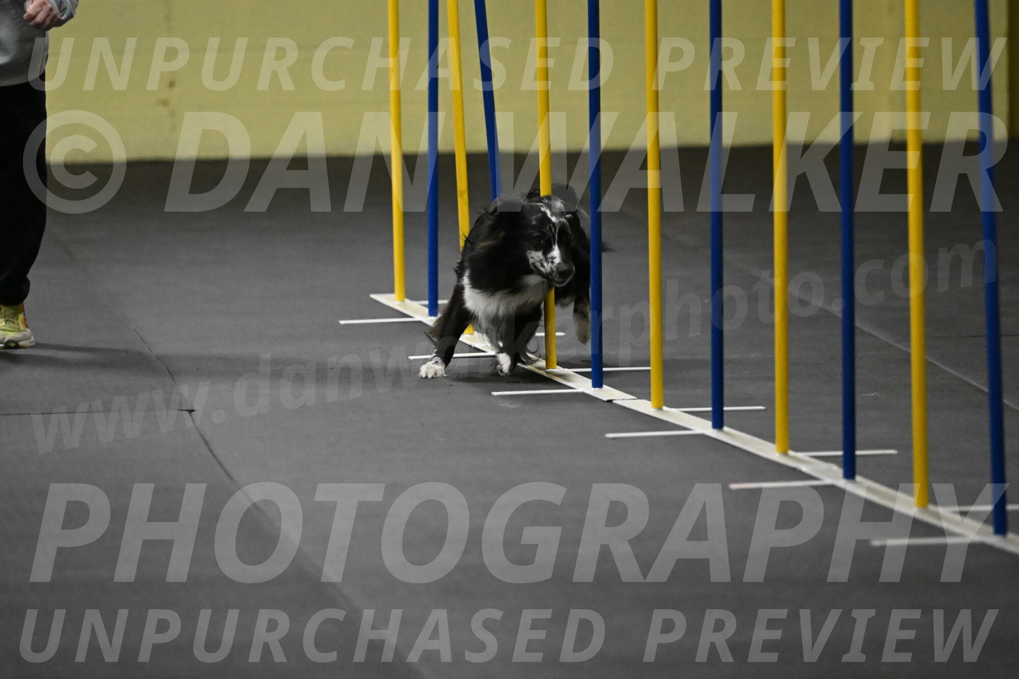 Sir-Koen-Armbrust-03770