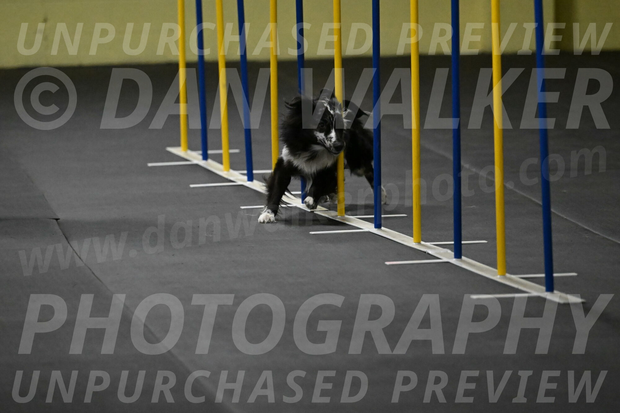 Sir-Koen-Armbrust-03775