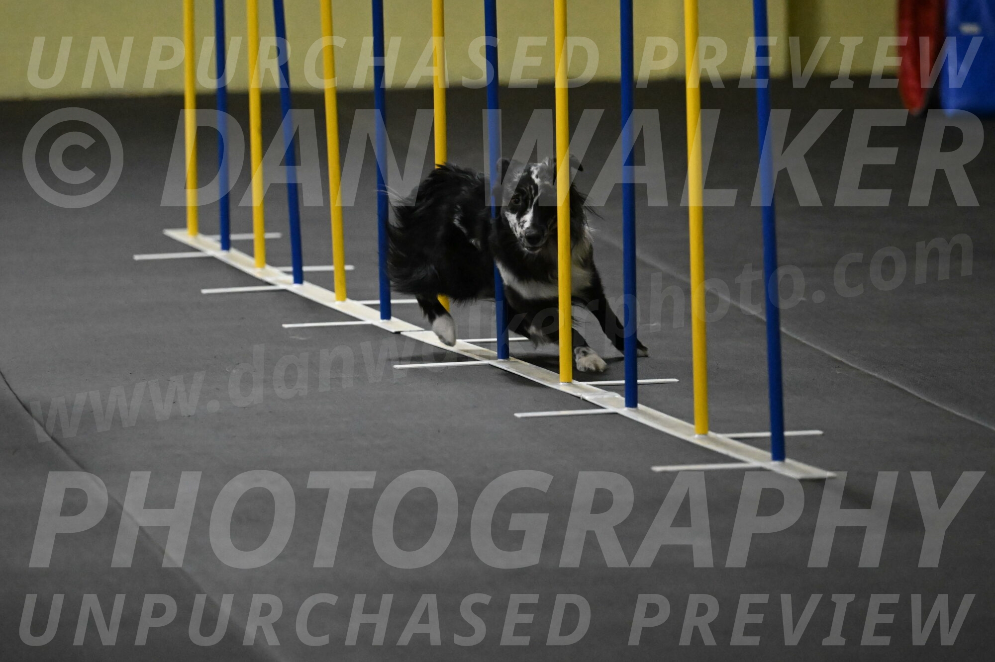 Sir-Koen-Armbrust-03778