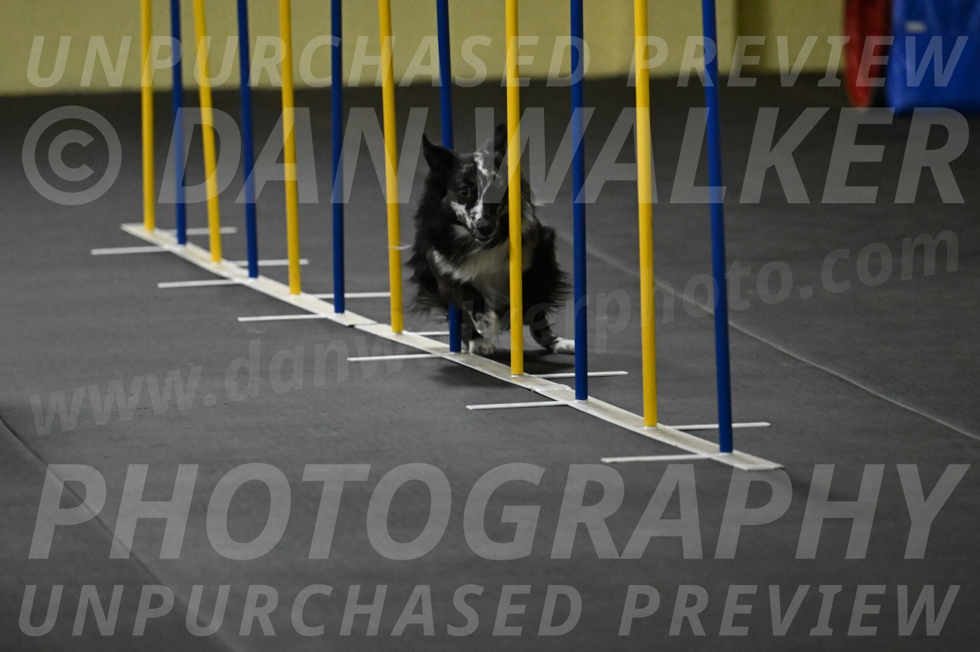 Sir-Koen-Armbrust-03779