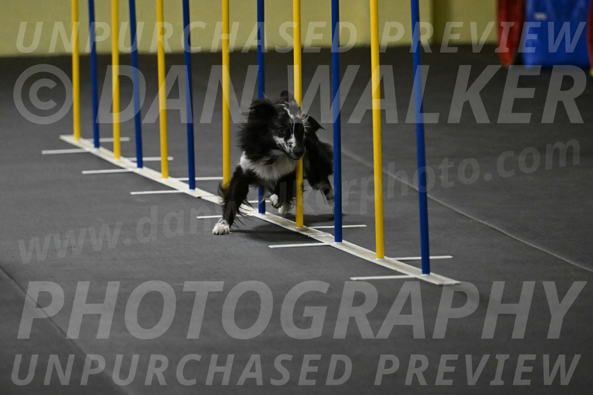 Sir-Koen-Armbrust-03780