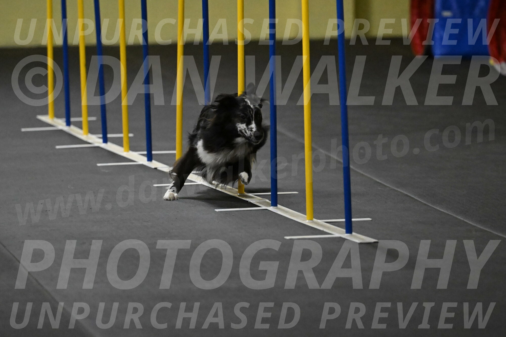 Sir-Koen-Armbrust-03781