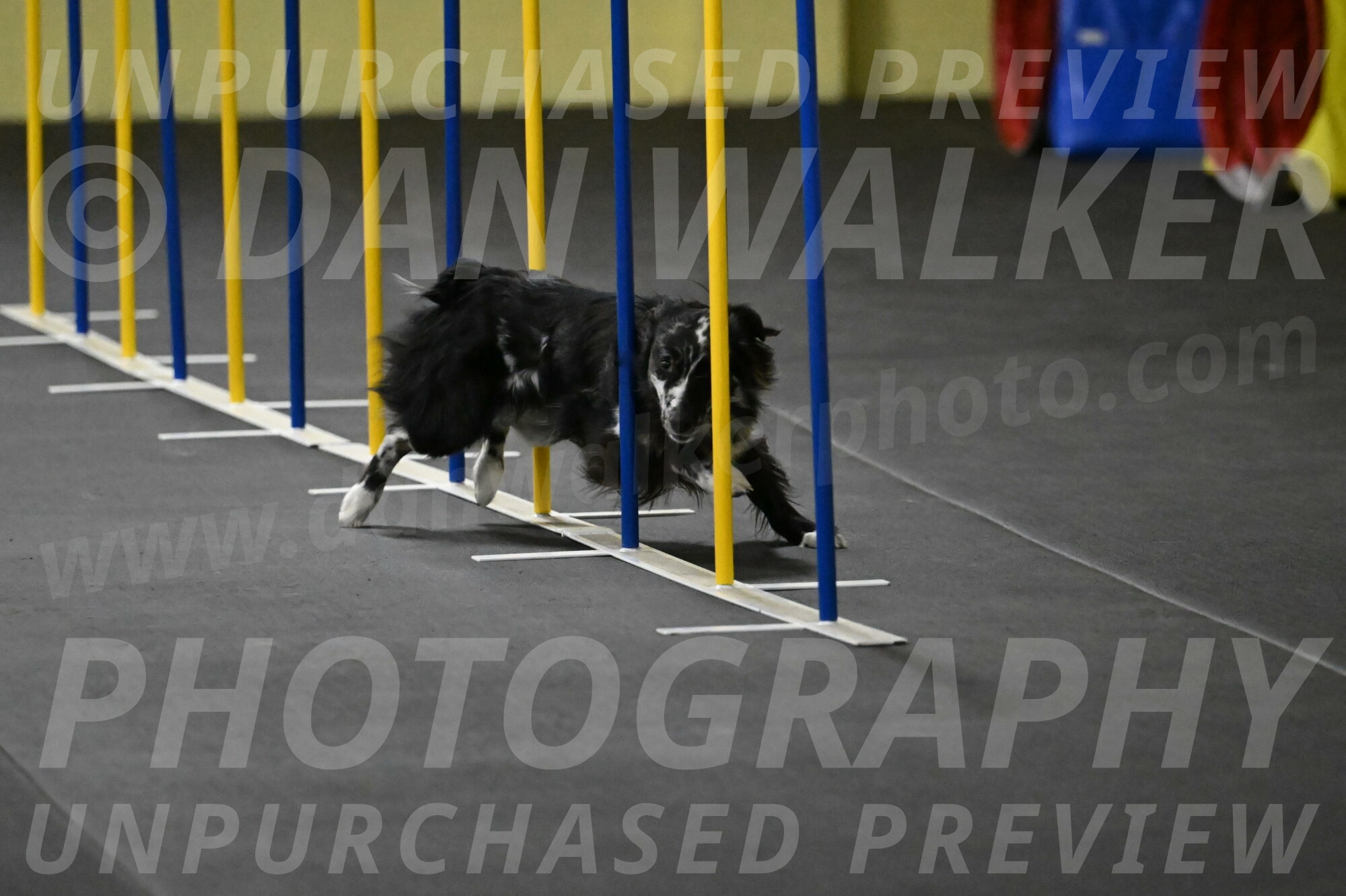 Sir-Koen-Armbrust-03783