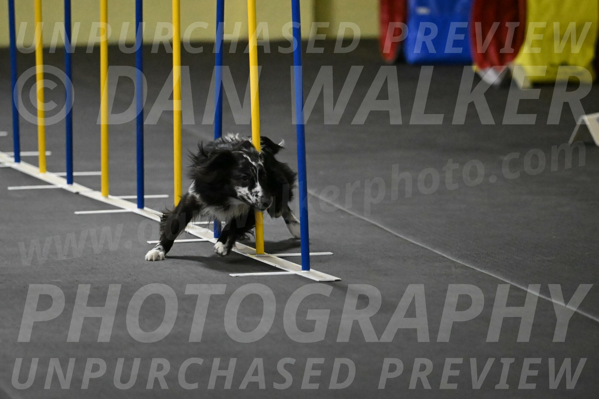 Sir-Koen-Armbrust-03785