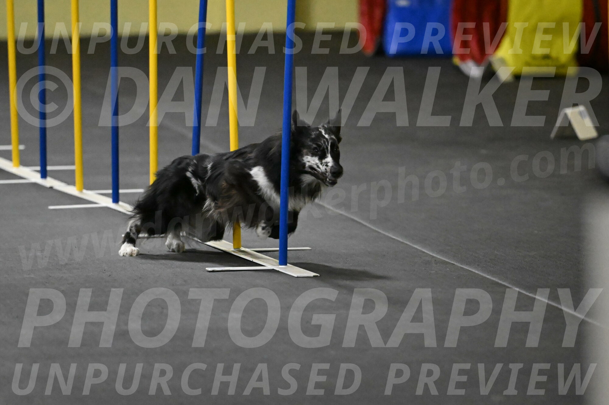 Sir-Koen-Armbrust-03787