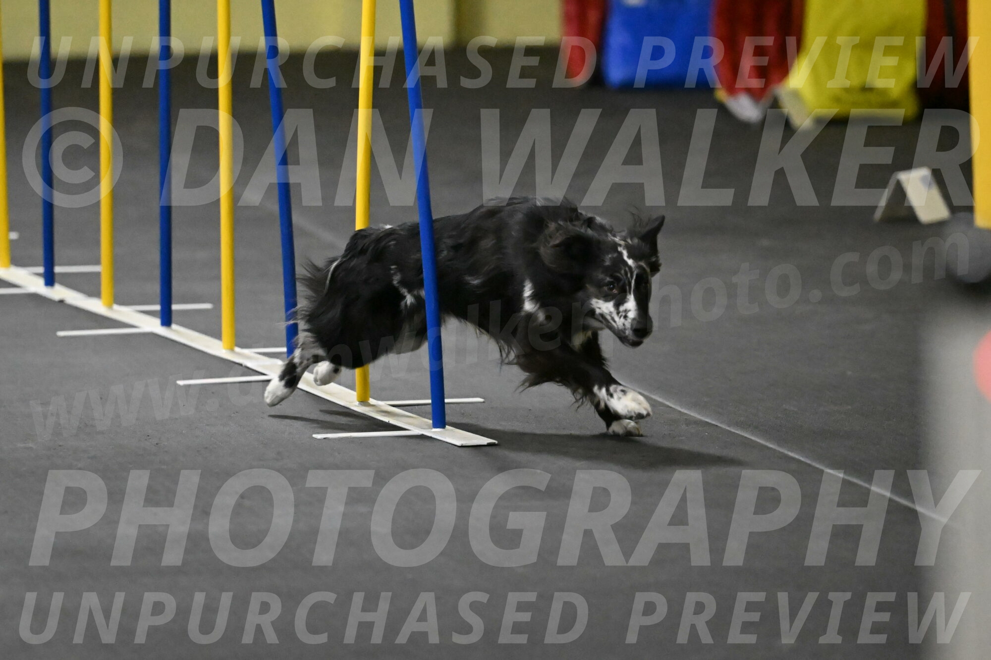 Sir-Koen-Armbrust-03788