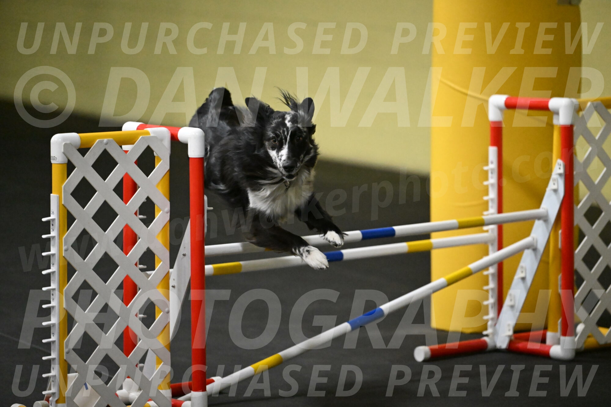 Sir-Koen-Armbrust-03794