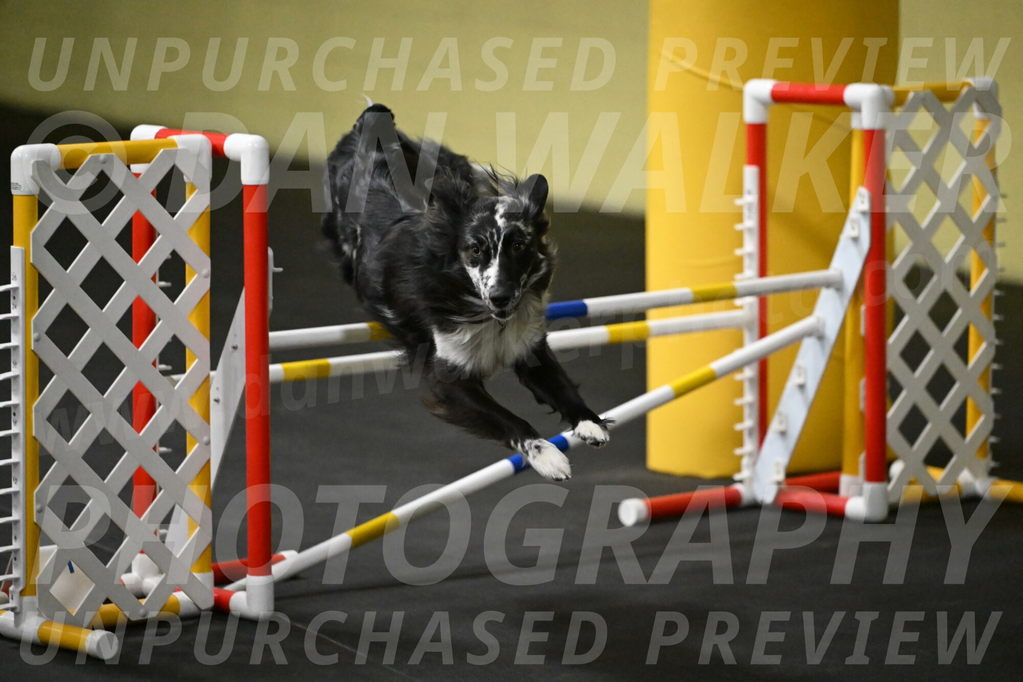 Sir-Koen-Armbrust-03795