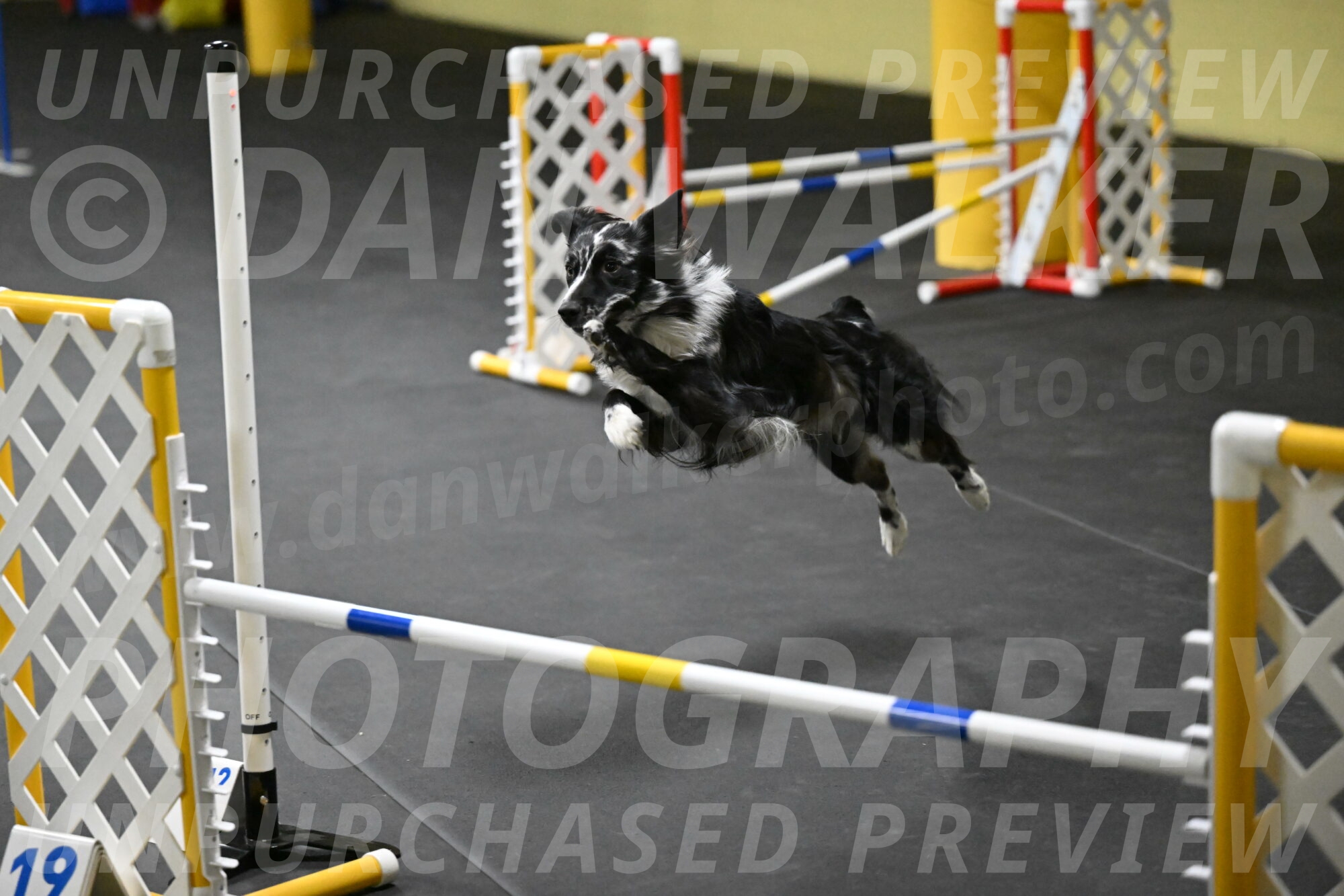 Sir-Koen-Armbrust-03800