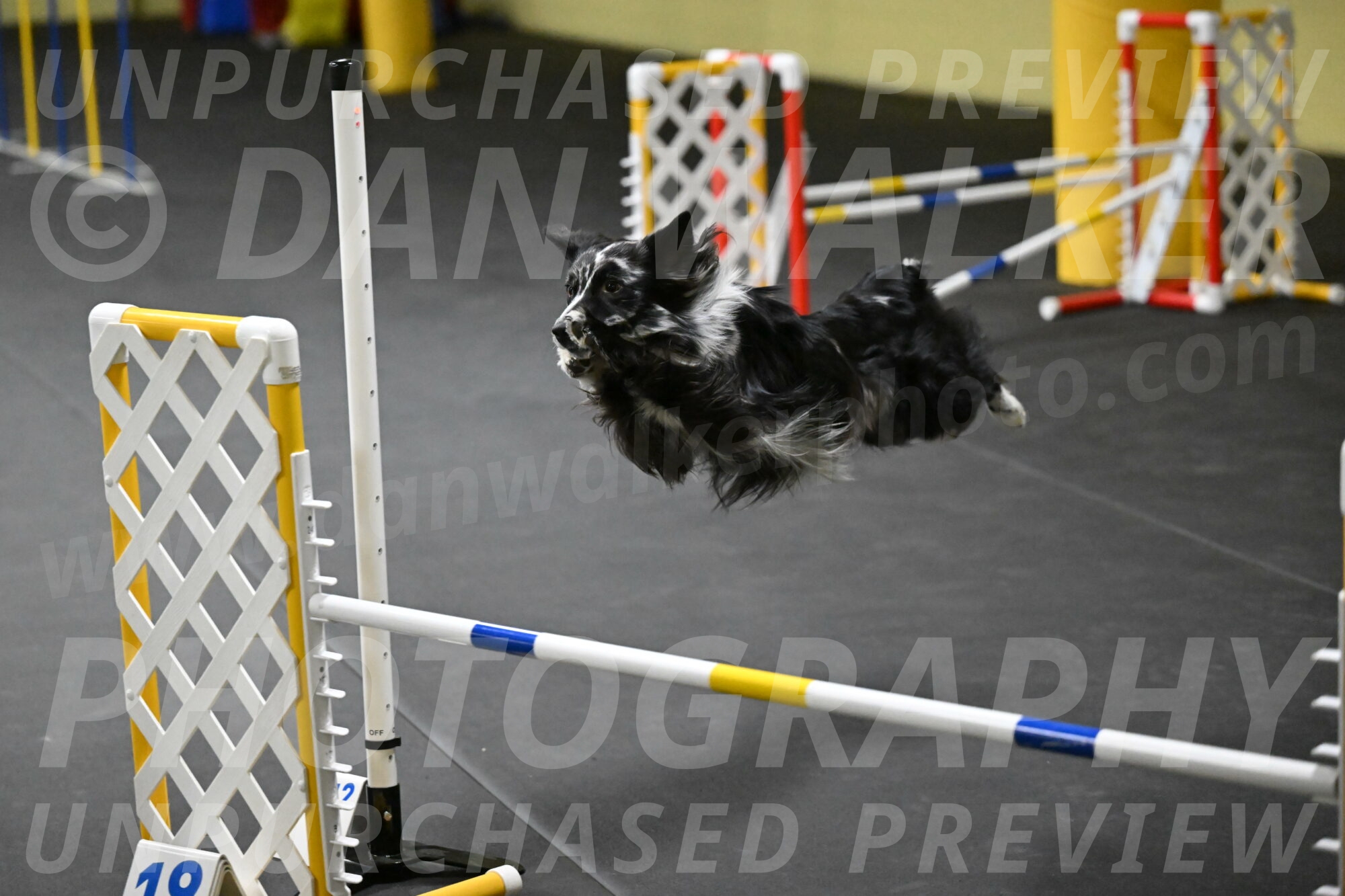 Sir-Koen-Armbrust-03801