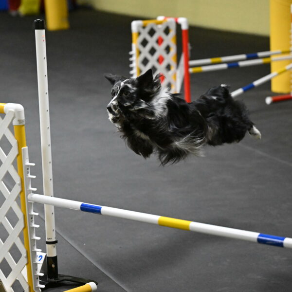 Sir-Koen-Armbrust-03801