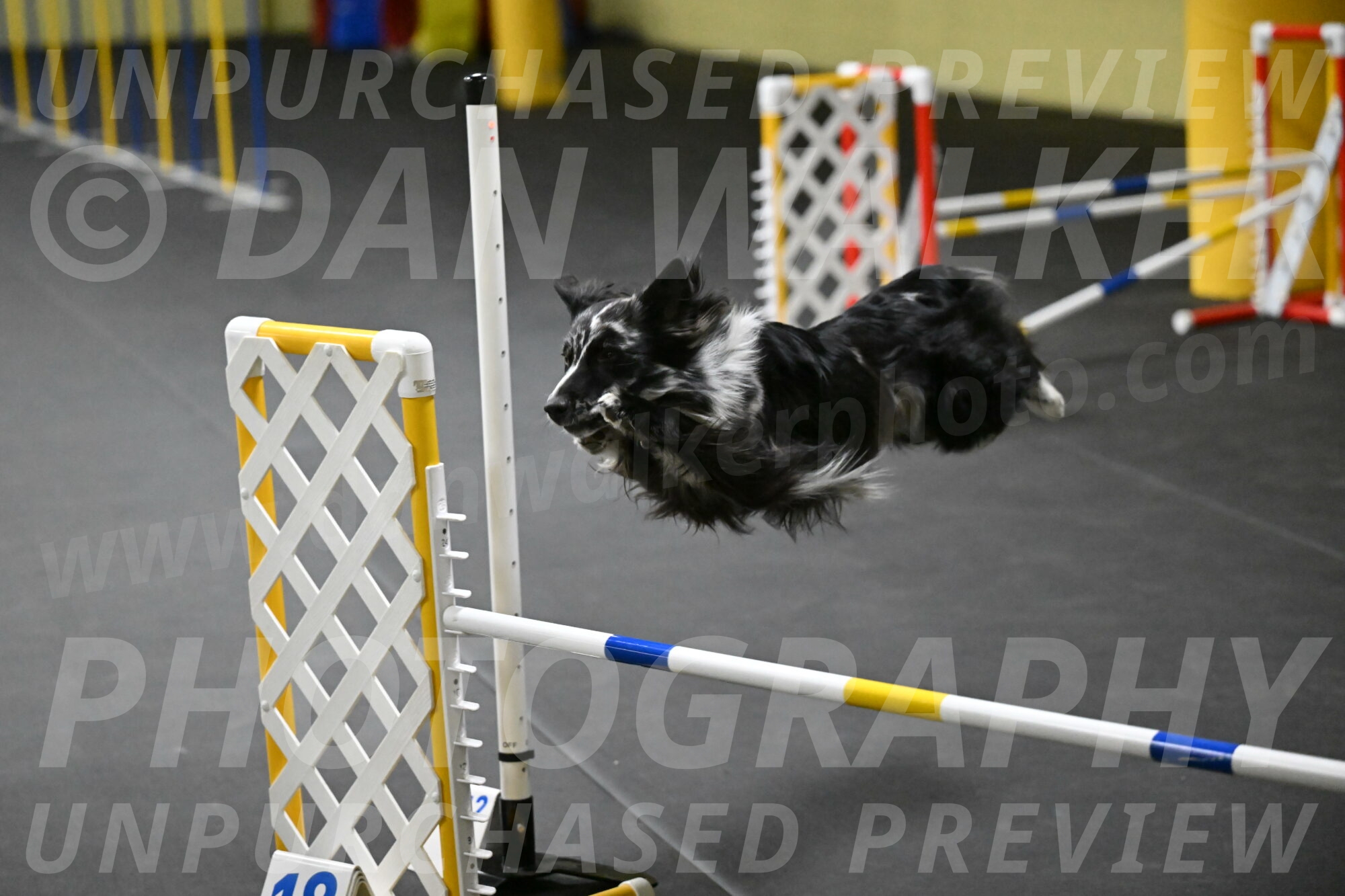 Sir-Koen-Armbrust-03802