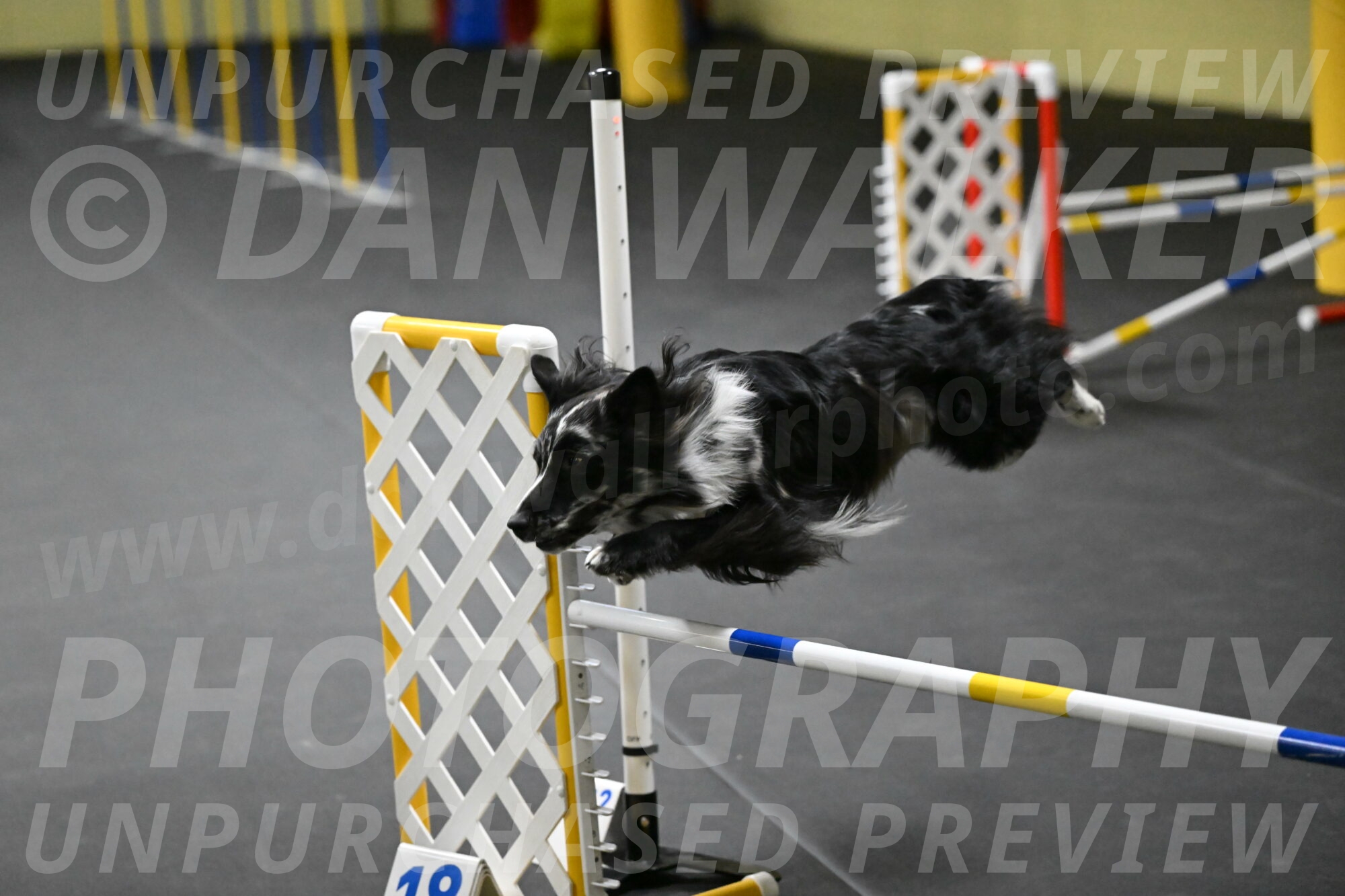 Sir-Koen-Armbrust-03803