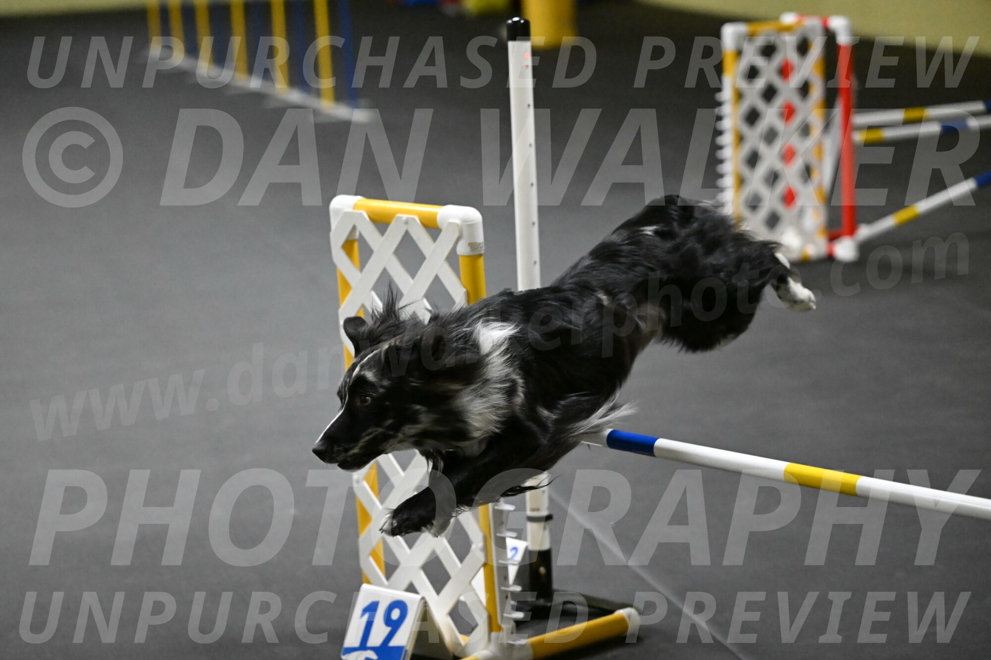 Sir-Koen-Armbrust-03804