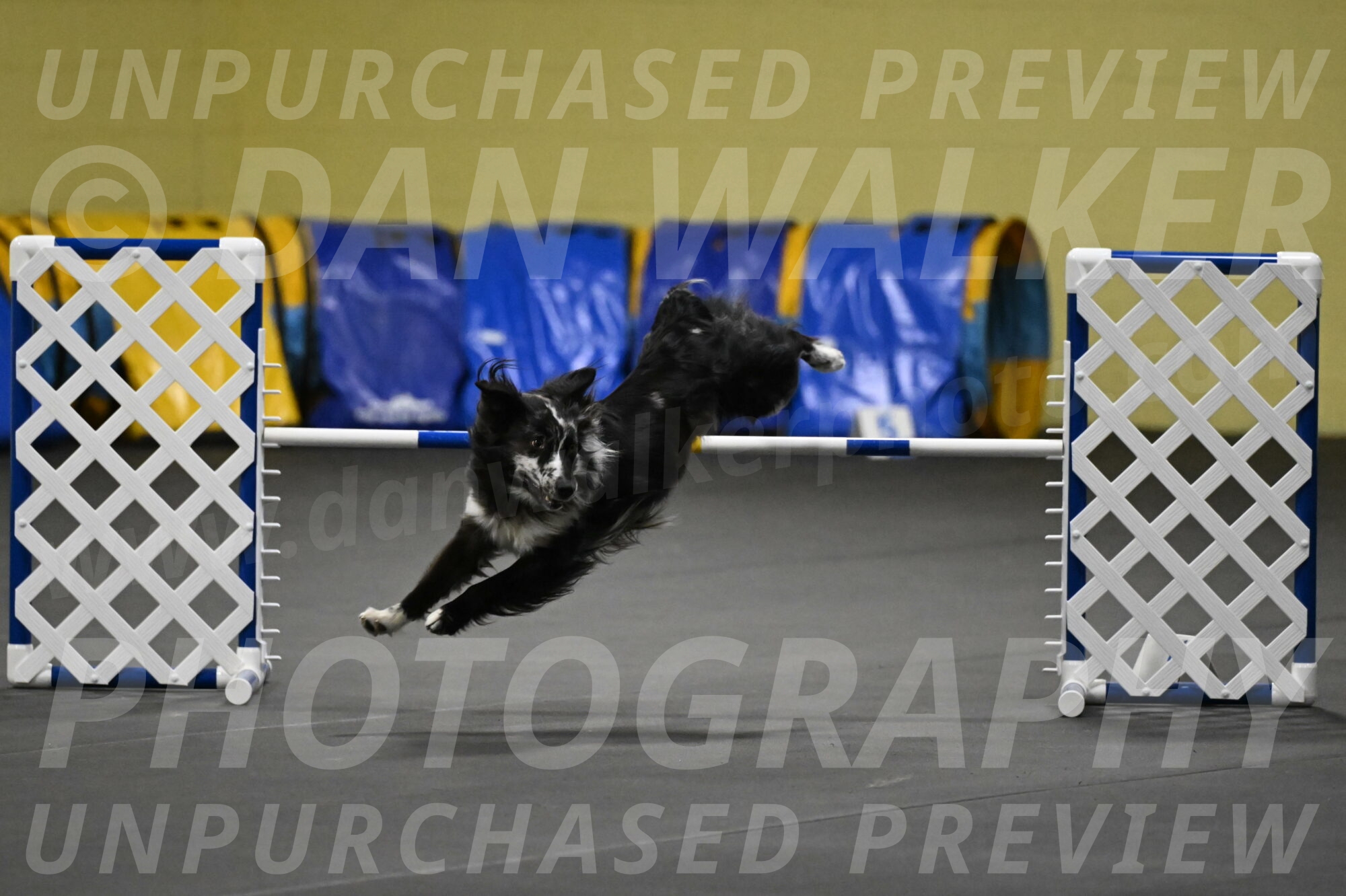 Sir-Koen-Armbrust-03808