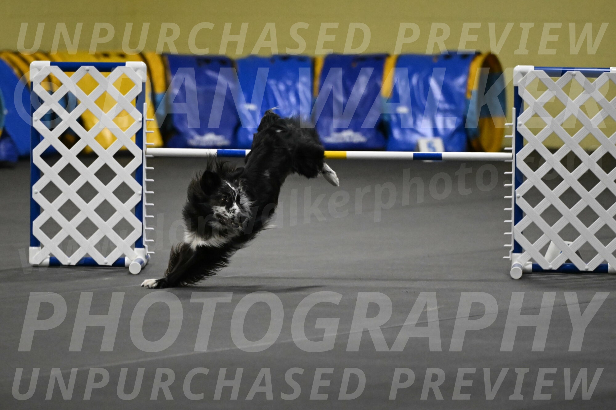 Sir-Koen-Armbrust-03809