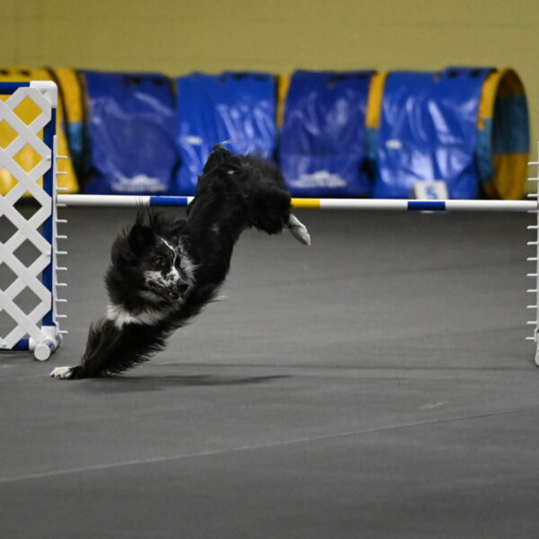 Sir-Koen-Armbrust-03809