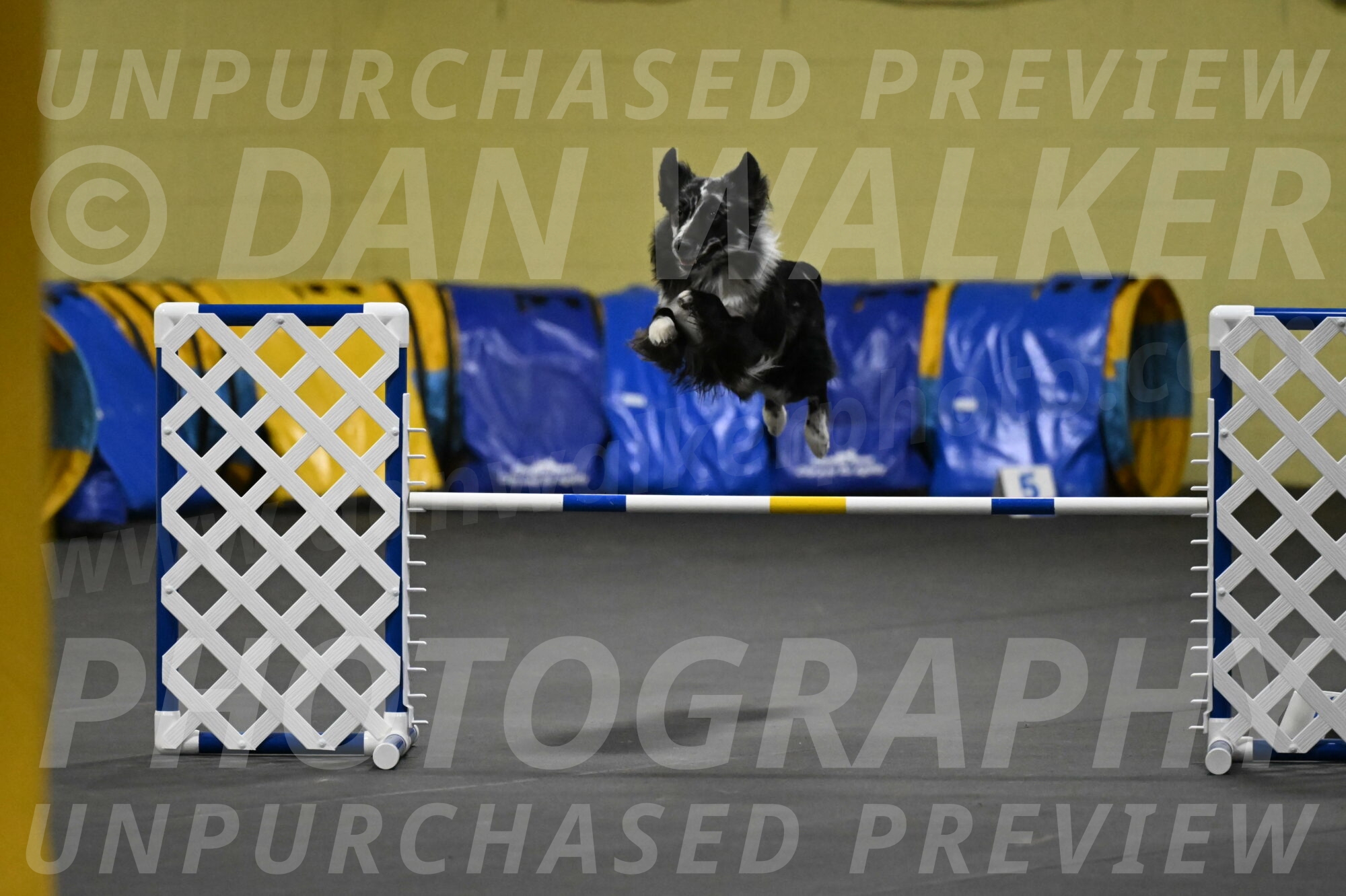 Sir-Koen-Armbrust-03812