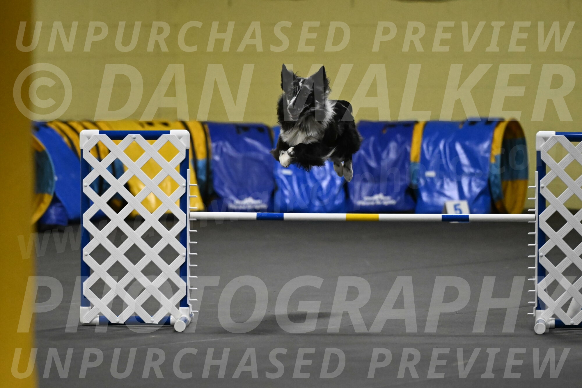 Sir-Koen-Armbrust-03813