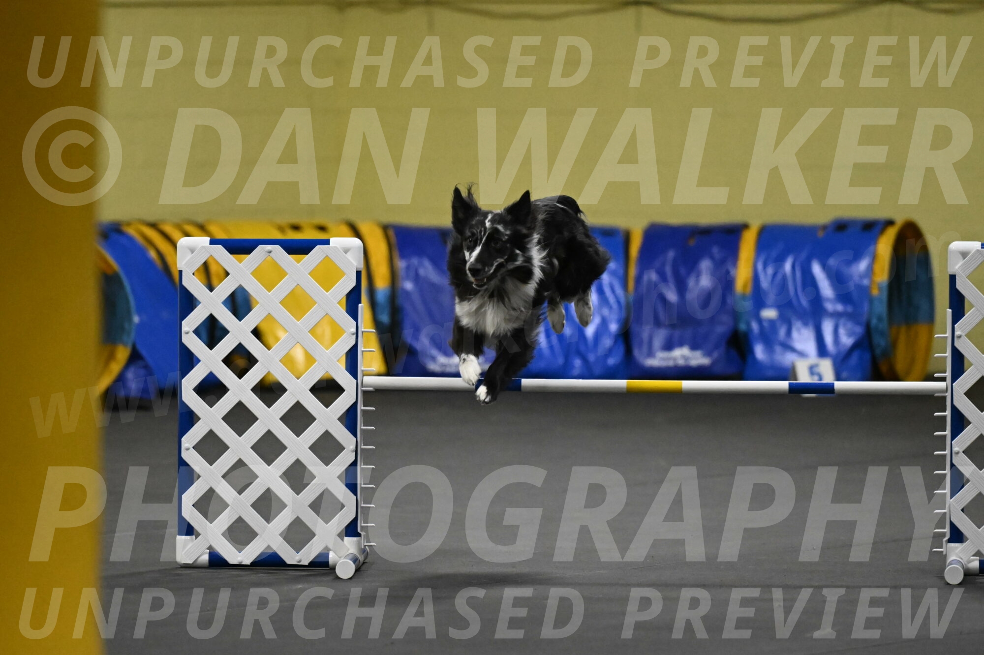 Sir-Koen-Armbrust-03815