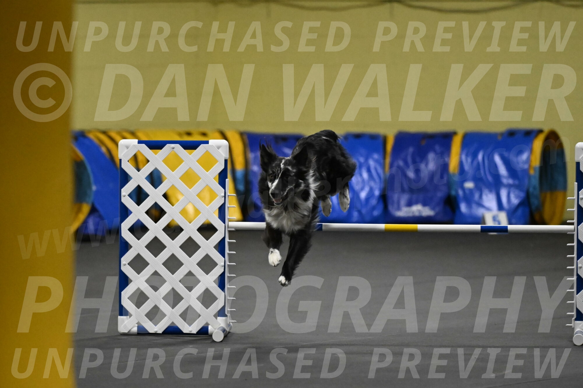 Sir-Koen-Armbrust-03816