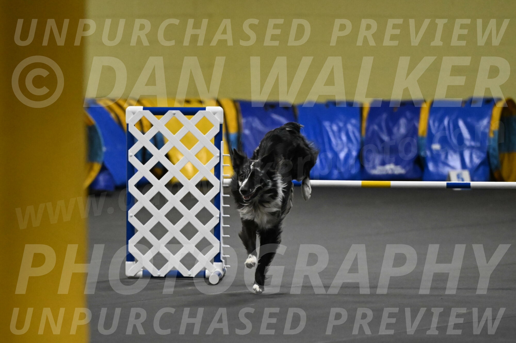 Sir-Koen-Armbrust-03817