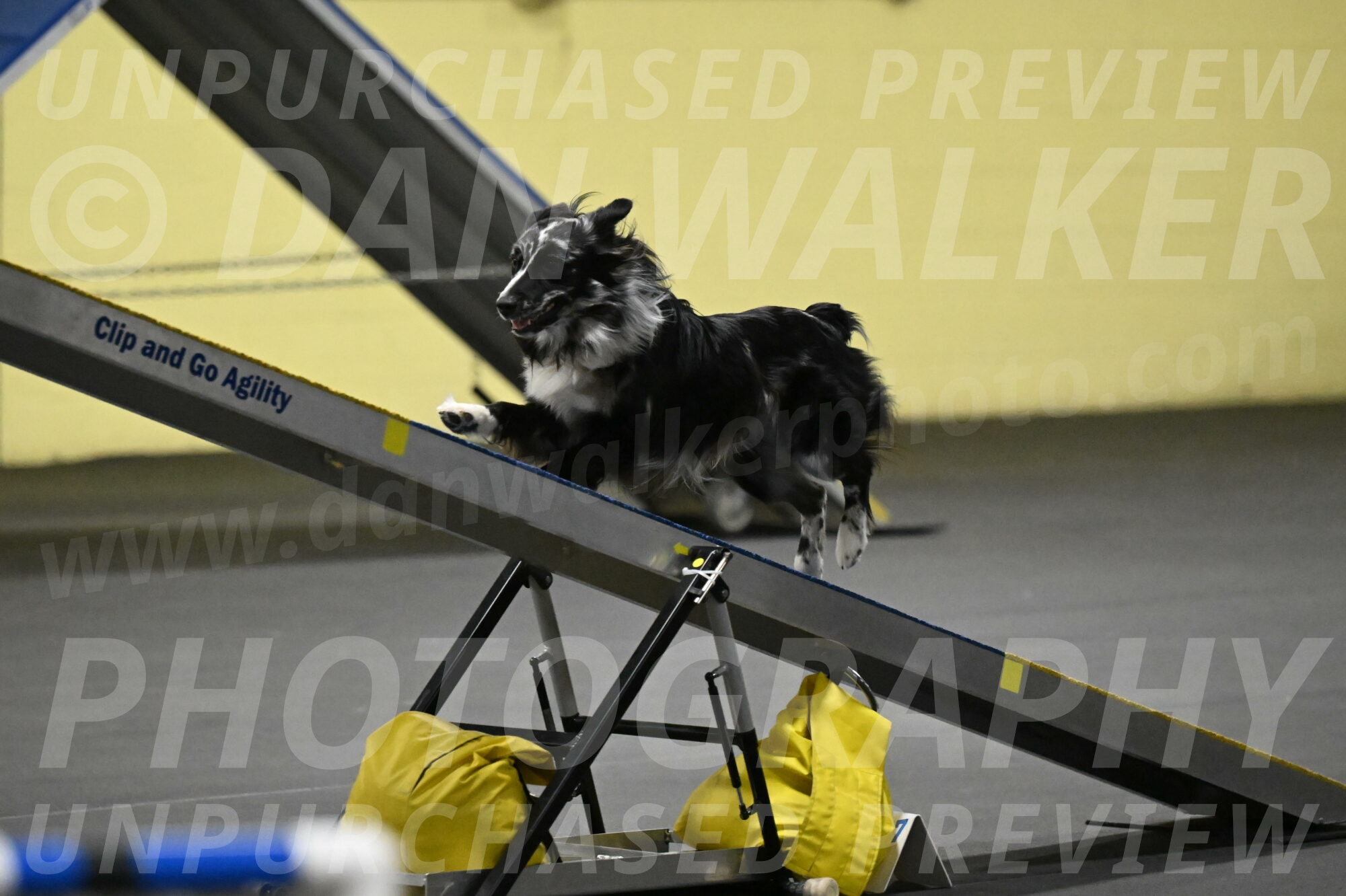 Sir-Koen-Armbrust-03825