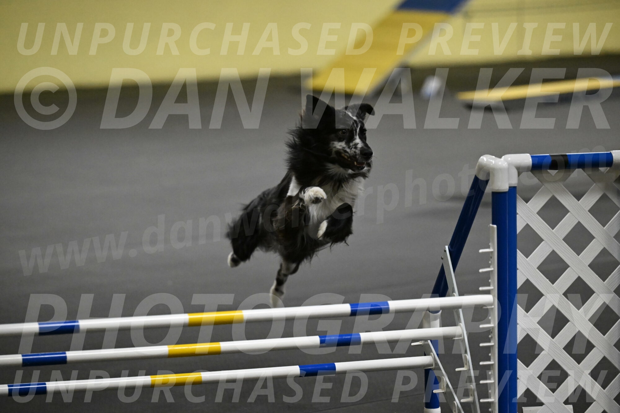 Sir-Koen-Armbrust-03838