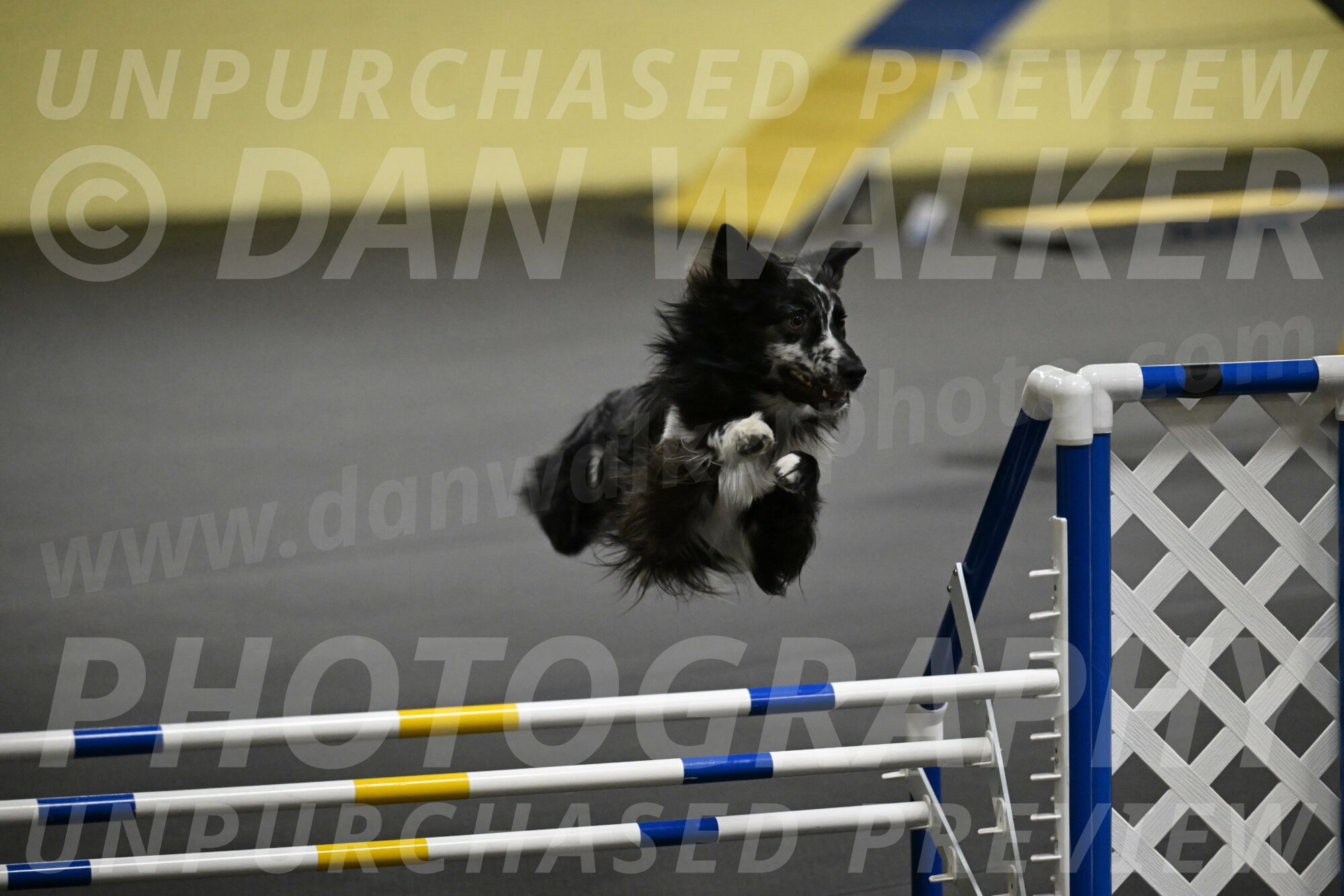 Sir-Koen-Armbrust-03839