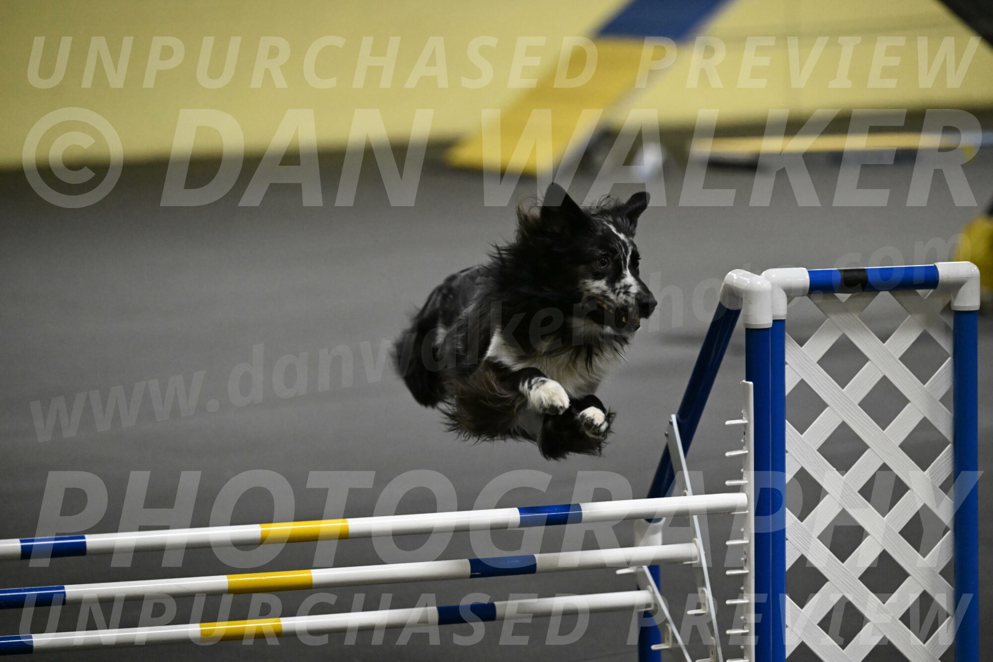 Sir-Koen-Armbrust-03840