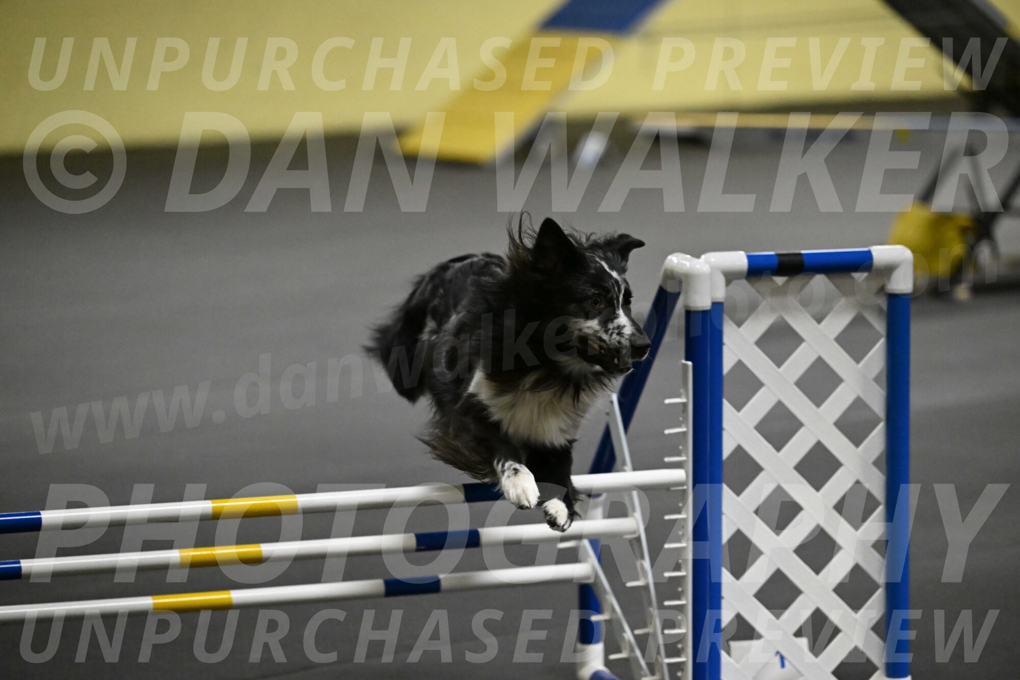 Sir-Koen-Armbrust-03841