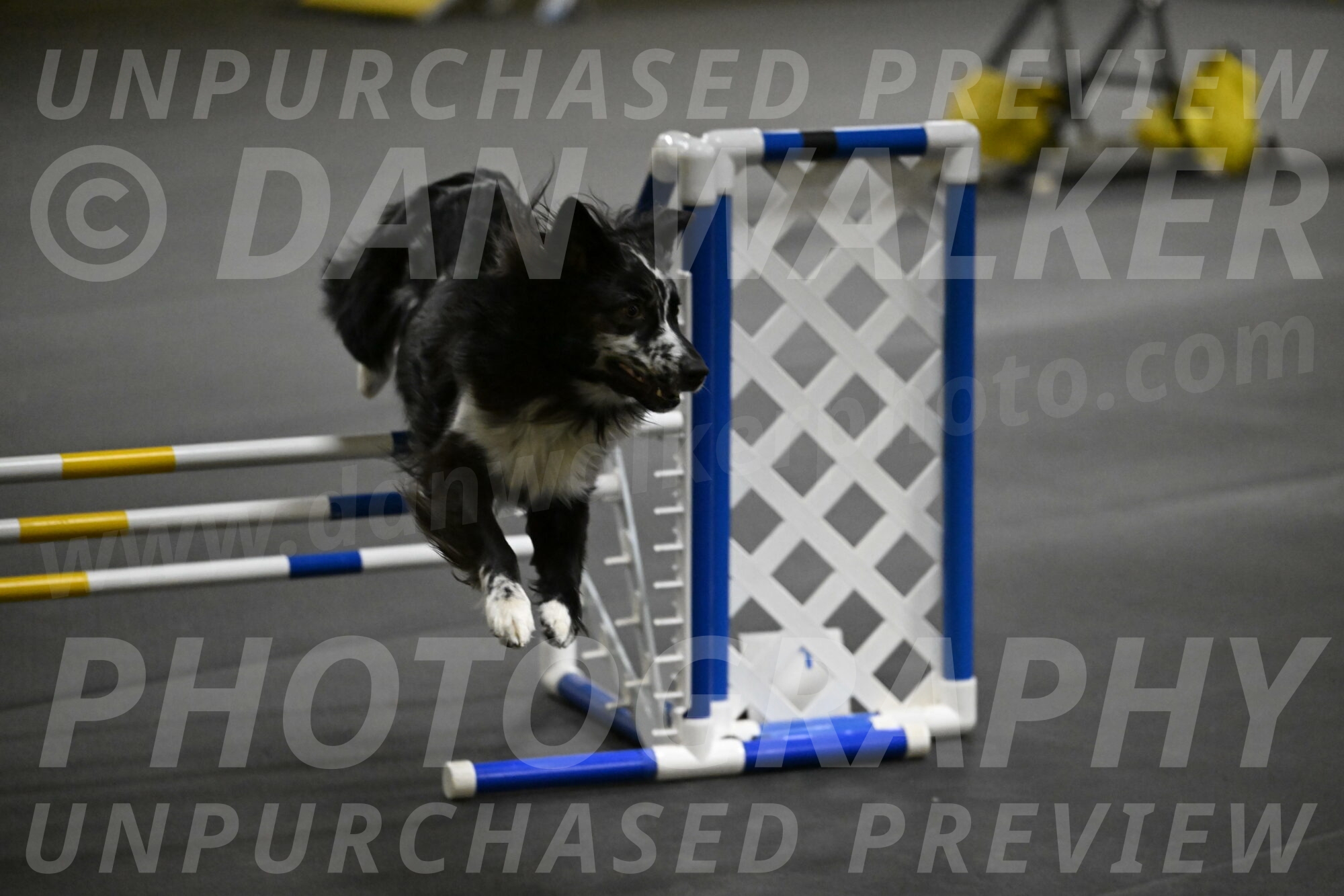 Sir-Koen-Armbrust-03842